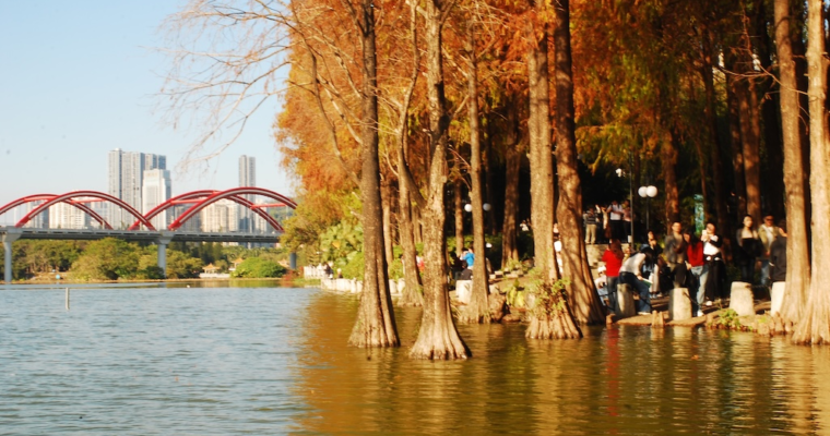 短遊深圳 — 洪湖公園的水映金羽
