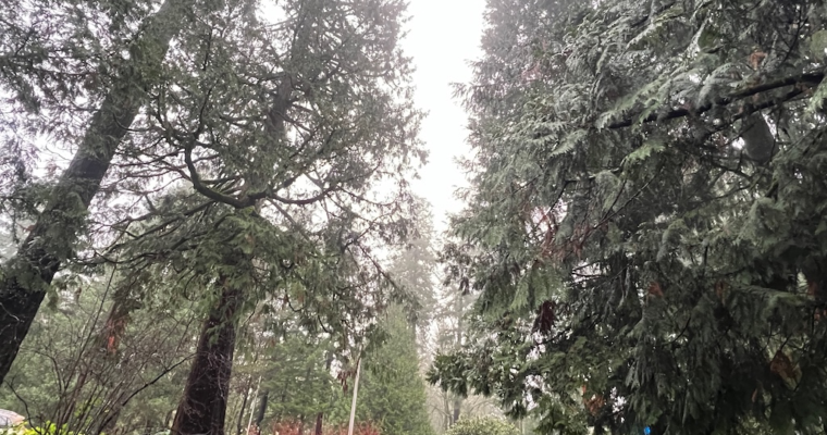 徒步遊美國 — 太平洋西北部的探險歷奇