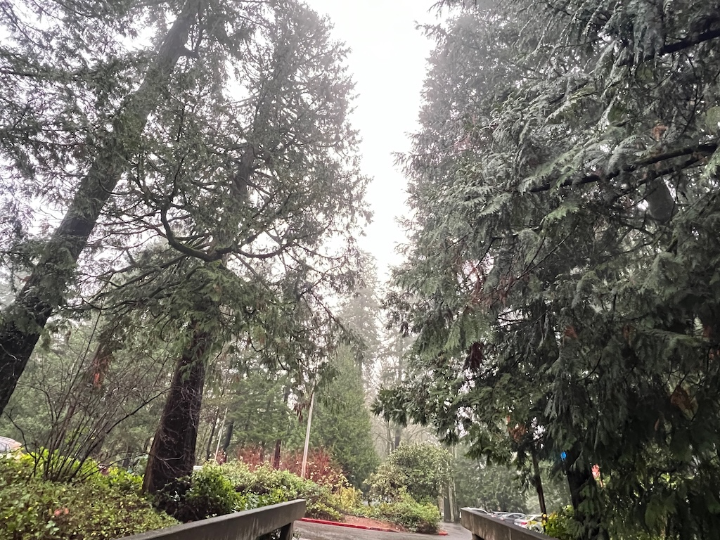 徒步遊美國 — 太平洋西北部的探險歷奇