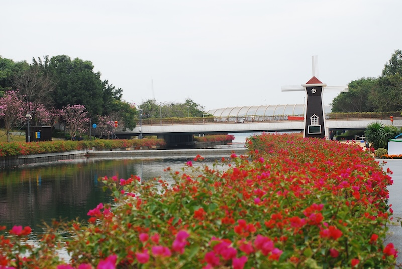 短遊深圳－後海中心河公園的紫花風鈴木