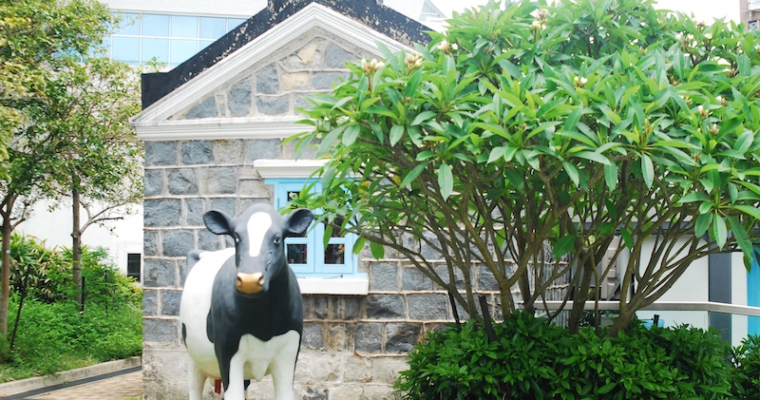 香港薄鳧林牧場