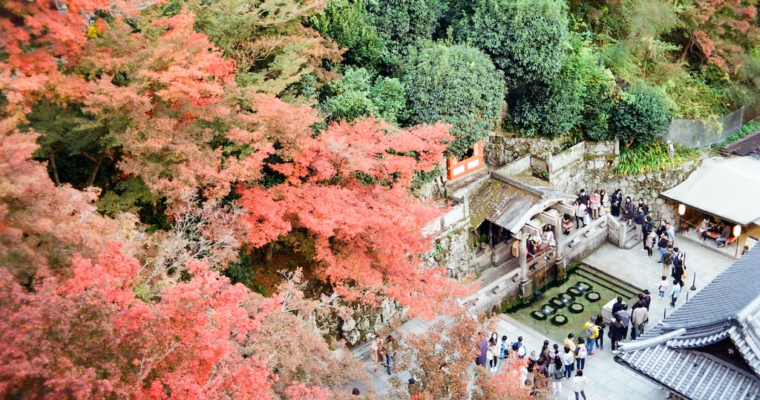 秋色交響樂 — 日本關西賞楓行旅前準備