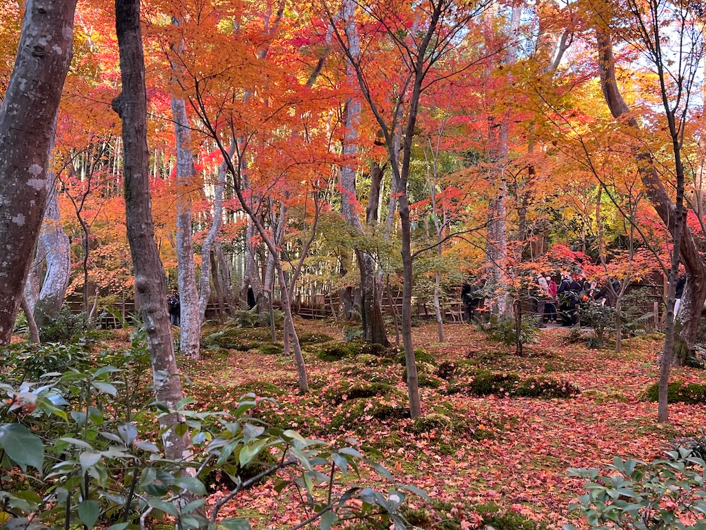 秋色交響樂 — 嵐山祇王寺