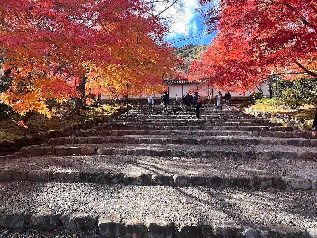 秋色交響樂 — 嵐山二尊院