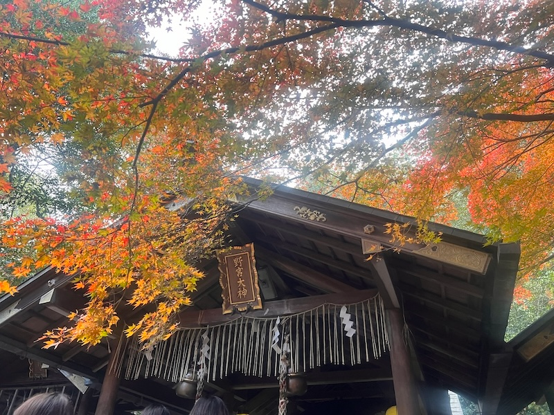 秋色交響樂 — 野宮神社