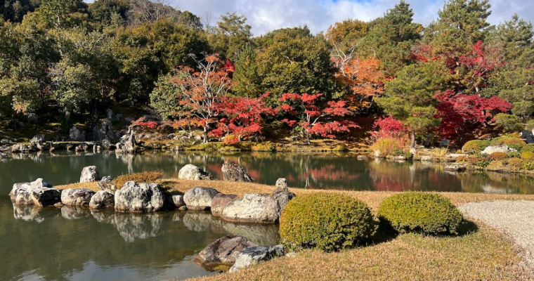 秋色交響樂 — 嵐山天龍寺