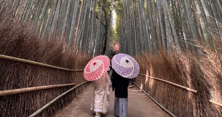 秋色交響樂 — 嵐山的著名竹林