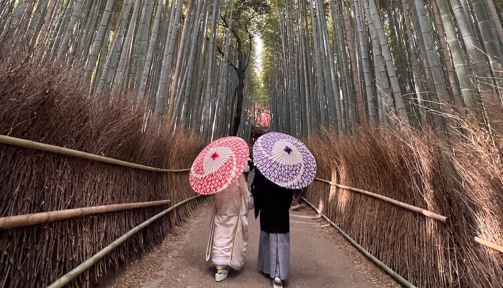 秋色交響樂 — 嵐山的著名竹林