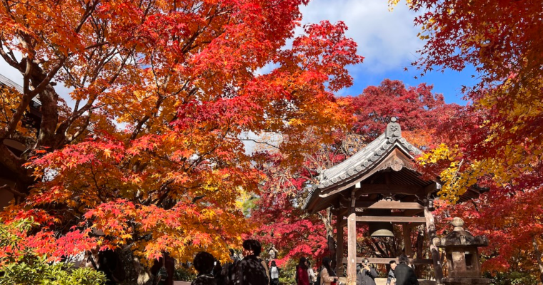 秋色交響樂 — 嵐山常寂光寺