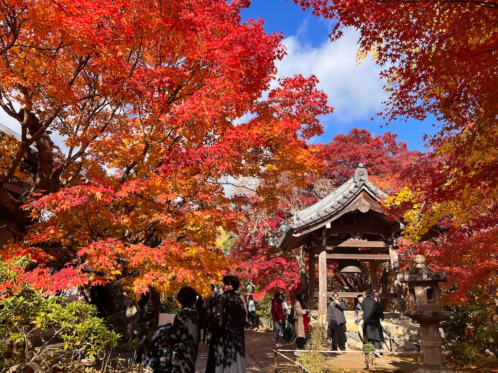 秋色交響樂 — 嵐山常寂光寺